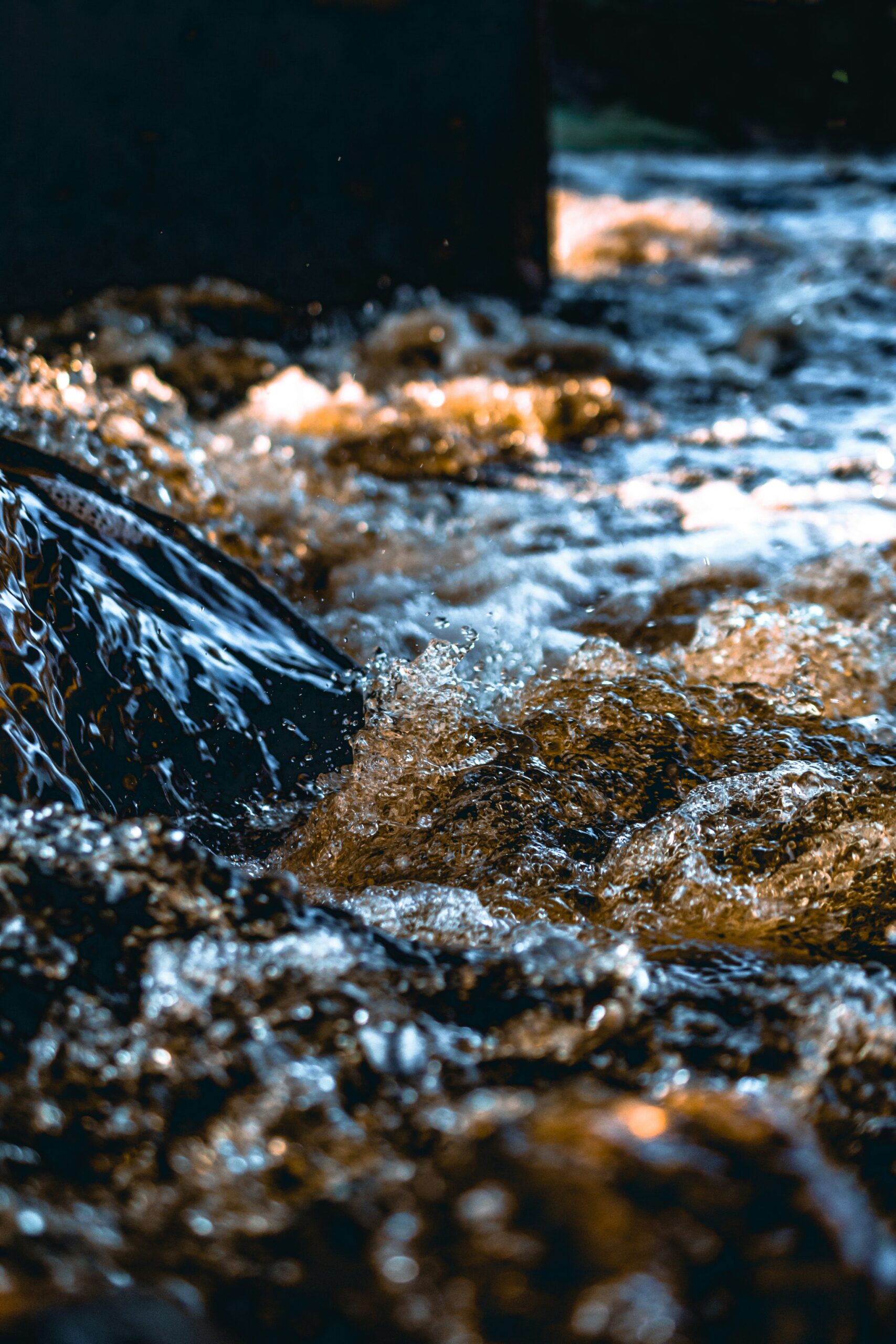austris-augusts-8A9s9Ye5VvY-unsplash
