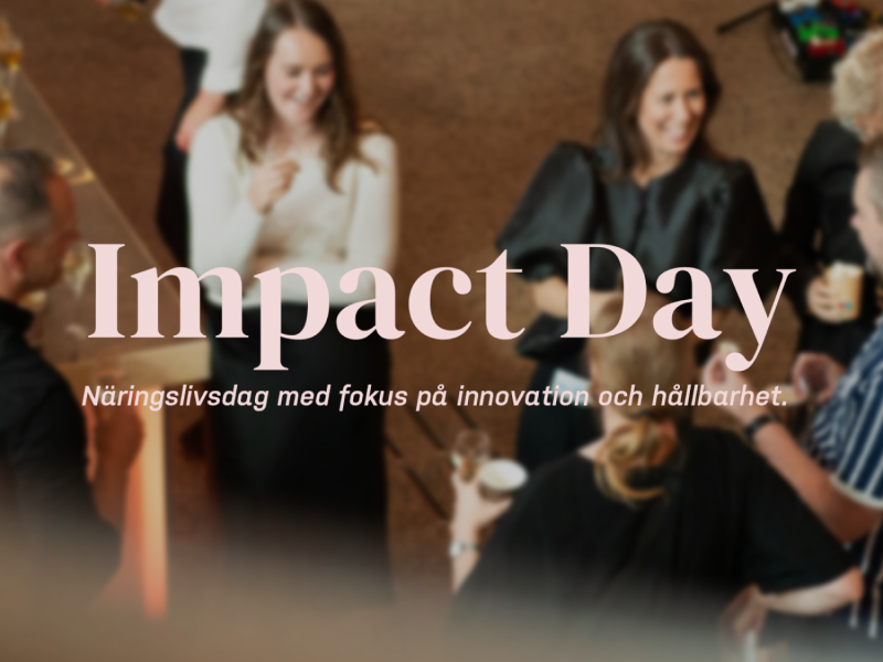 impact-day-kalender